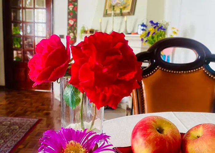 Alojamento de Acomodação e Pequeno-almoço Spray Sitio In Nazare, European Style *